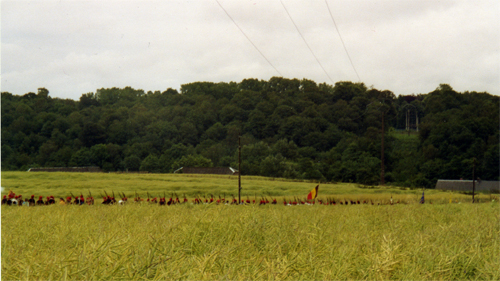 Compagnie dans les champs